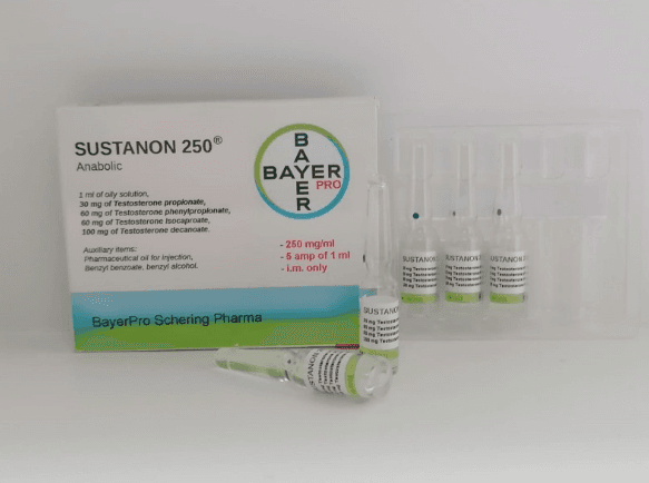 Sustanon 250 (Testosterone Blend) 250mg/ml — box of 5 amps