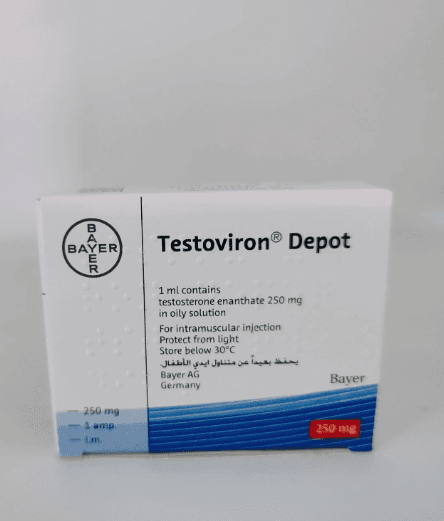Testosterone Enanthate 250mg/ml — 1 ampoule